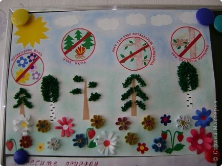 Как да се направи плакат на тема - да се грижи за растенията!