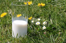 Как да се определи качеството на млякото у дома