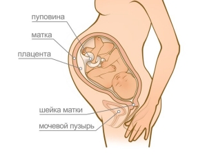 Как да определите истинските контракции преди раждането