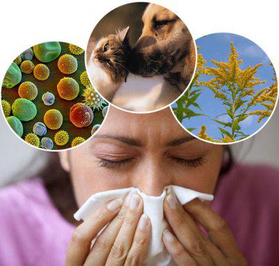 Как да се разграничи алергия от студено - каква е разликата