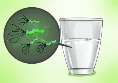 Както Helicobacter Pylori се предава от човек взема