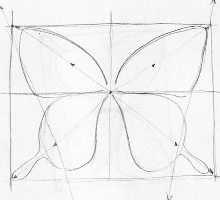 Как да нарисувате пеперуда стадии молив цех