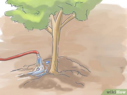 Как да се засадят храсти