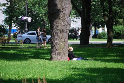 Как да се изгради перфектния парка