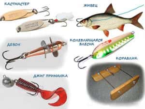 Как да хванете кефал - Тайните на успешния риболов
