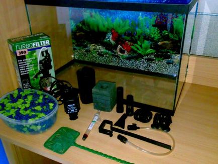 Как правилно да стартирате аквариума за първи път, аквариумни рибки