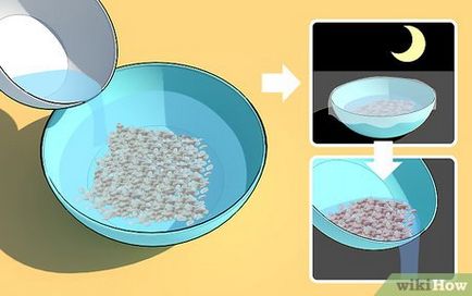 Как да покълне пшеница у дома