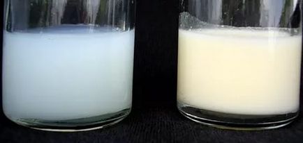 Как да се провери качеството и натуралността на мляко в йод началната проверка и другият