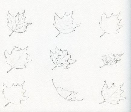 Как да нарисувате листа постепенно