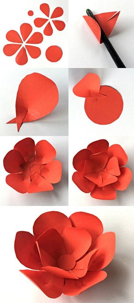 Как да направите най-големи цветя, изработени от хартия, велпапе хартия цех