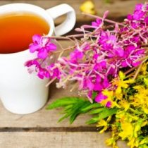 Как да направите чай от върба-билка в дома