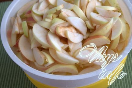 Как да изсъхне ябълки електрически сушилни, рецептата със снимка