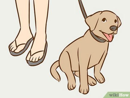 Как да убедя родителите, за да получите едно куче