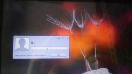 Как да се инсталира Linux мента 18 на втората система, техническа поддръжка, делнични дни (втори) Как да се инсталира Linux мента 18 на втората система, техническа поддръжка, делнични дни
