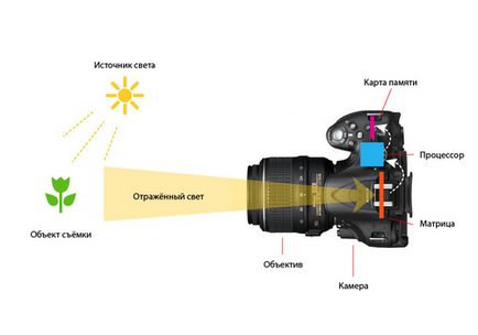 Как цифров огледално-рефлексен фотоапарат