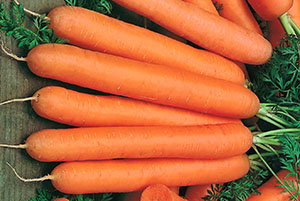 Как да расте голяма моркови видео mitlayderu