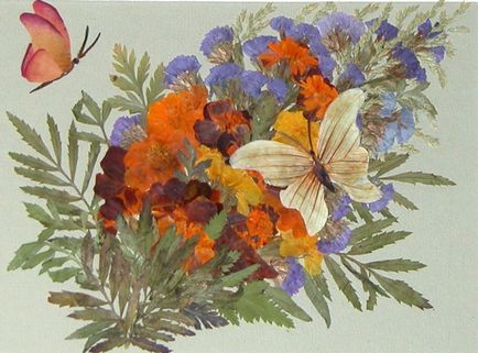 Снимки от венчелистчетата на цветя и листа
