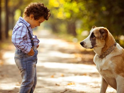Cynophobia страх от кучета, страх от кучета на детето как да се отървете
