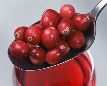 Cranberry - имоти, как да се използват боровинки - издание - BM