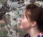 Кога и как да премахнете стрелите на чесън -obrezat или дърпане на стъблото (кога и как да се премахне стрелите на чесън) Кога и как да премахнете стрелите на чесън -obrezat или дърпа от дръжката