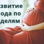 Когато бебето започва да се усмихва, първата усмивка на едно новородено бебе в отговор на родителите