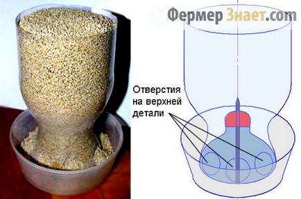 Хранене бройлери у дома, отколкото да се хранят за бърз растеж