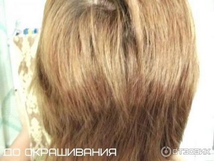 Боя за коса L'Oreal ekselans палитра от цветове, снимки и коментари, видео ревюта