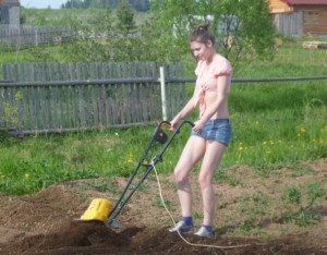 Hoe - помощник градинар, моята къщичка