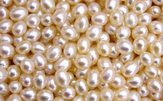 Култивирани перли - това е цената, бижута и много по-различно от естественото