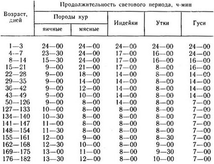 Кокошарник за кокошки носачки с техните ръце, клипове, снимки