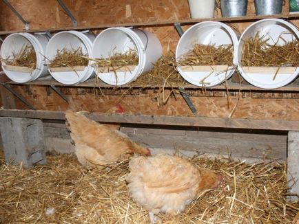 Пилешки кафези за кокошки строителство и подредба на дома, с ръцете си и писалка за пилета, снимки