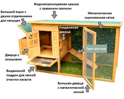 Курника за кокошки носачки с ръцете си - как да се изгради правилно!