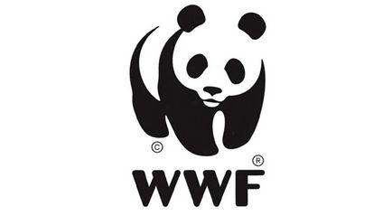 панда лого