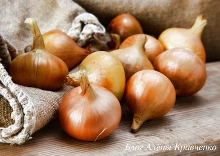 Onion кори - ползи и вреди, рецепти