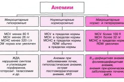 megalocytic анемия