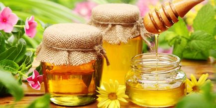 Медът - ползи и вреди, лечебни свойства на продукта за човешкото тяло