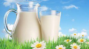 Мляко меню диета за отслабване на 3, 5 и 7 дни, както и резултатите от коментари