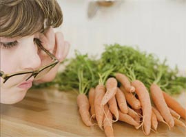 Морковите се възползват и вреда на организма и колко можете да ядете