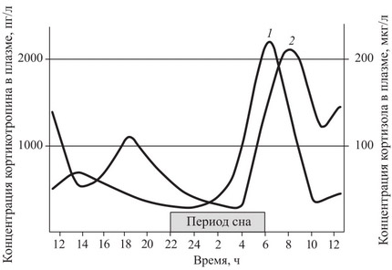 Надбъбречните жлези, работата си и функция