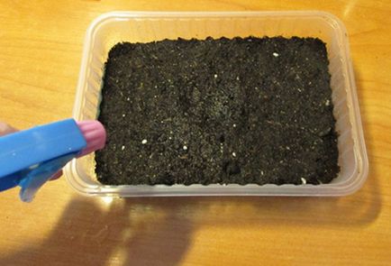 Обеззаразяване на земята преди засаждане на разсад от и как да се отнасяме почвата
