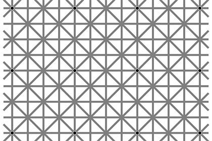 Оптична илюзия - илюзията за снимки с обяснения - виж