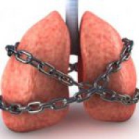 Пречистване на бронхите и белите дробове лекарствата от народната медицина у нас