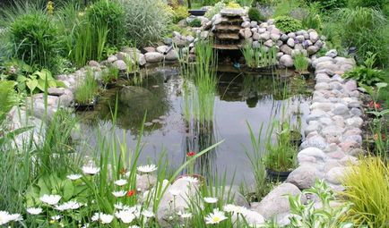 Осъществяване изкуствено езеро и фото крайбрежни растения за езерцето в градината и в страната