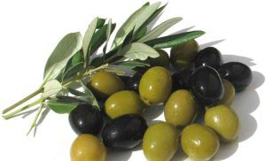 маслини