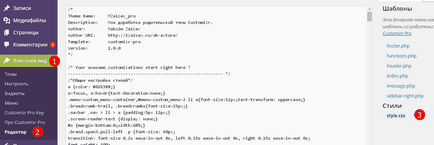 Панел за разработчици в браузъра да работи с кода