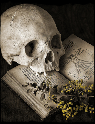 Печат на смъртта като фактор на еволюцията, блог Enmerkar