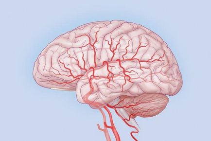 Перинатална, остатъчен органичен и началото на органичен увреждане на мозъка - той