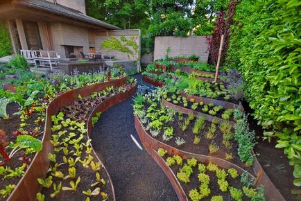 Разпределение градина за засаждане на зеленчуци - тайните на успешното прибиране на реколтата, проектиране страна идеи и съвети