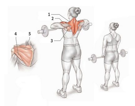 Рамене - упражнение, особено упражнения, анатомия делтоиди