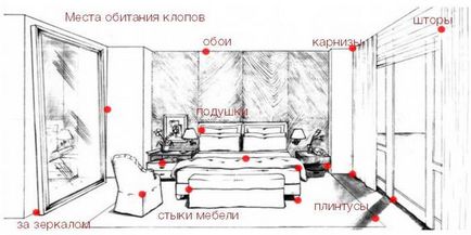 Защо грешки се появяват в апартамента на превенцията дървеници